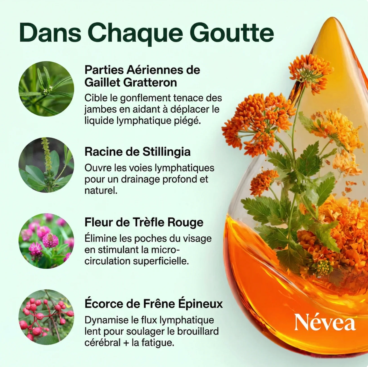 Névea légèreté retrouvée et gonflement réduit