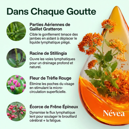 Névea légèreté retrouvée et gonflement réduit