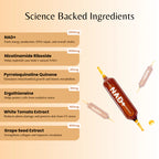 Perseek Advanced NAD+